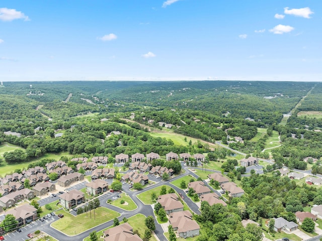 15 Fade Ln, Branson West, MO 65737 - photo 32