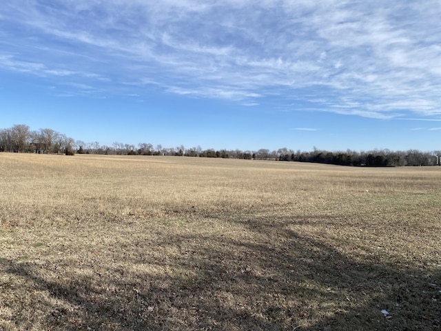 view of landscape featuring a rural view