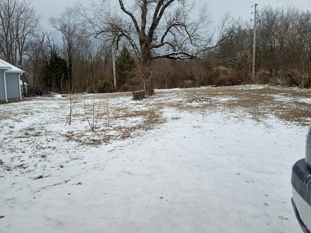 view of yard covered in snow