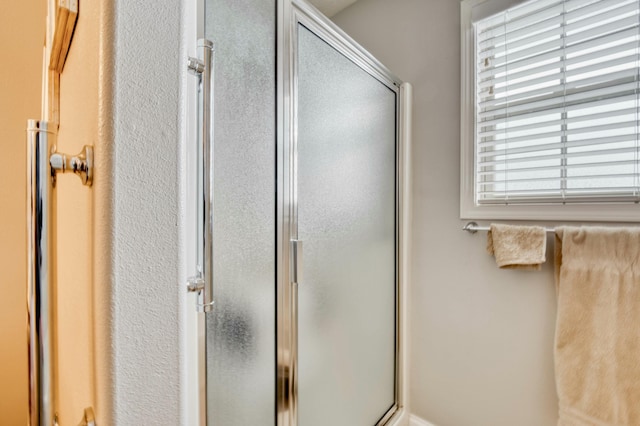 bathroom featuring a shower with shower door