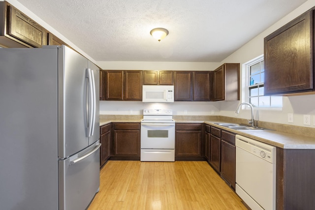 kitchen with light countertops, a sink, a textured ceiling, light wood-type flooring, and white appliances