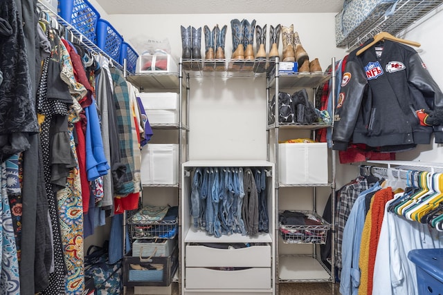 view of walk in closet