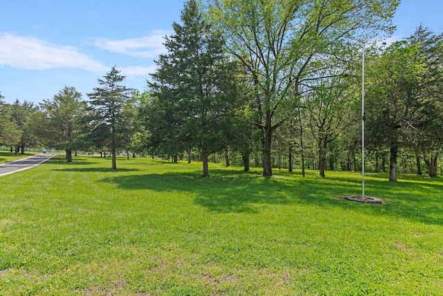 view of community with a yard