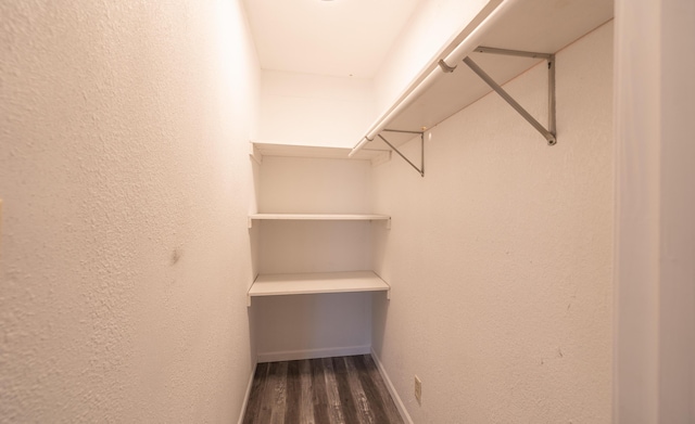 spacious closet featuring dark hardwood / wood-style flooring