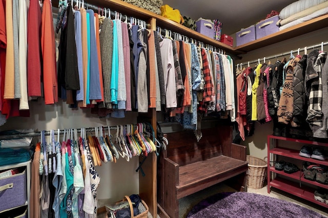 spacious closet featuring carpet floors