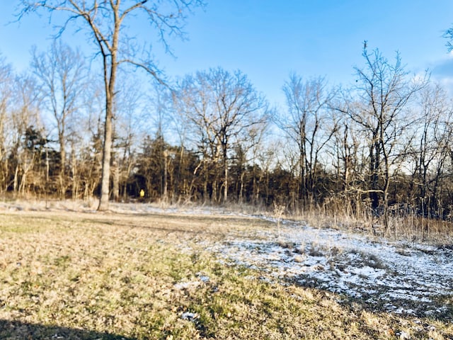 view of local wilderness