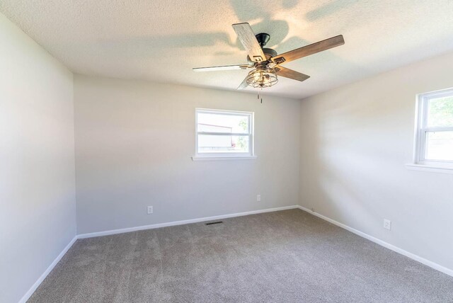 carpeted empty room featuring a textured ceiling, a wealth of natural light, and ceiling fan