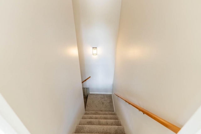 stairway with carpet