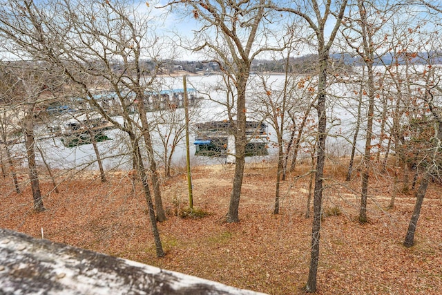 view of yard with a water view