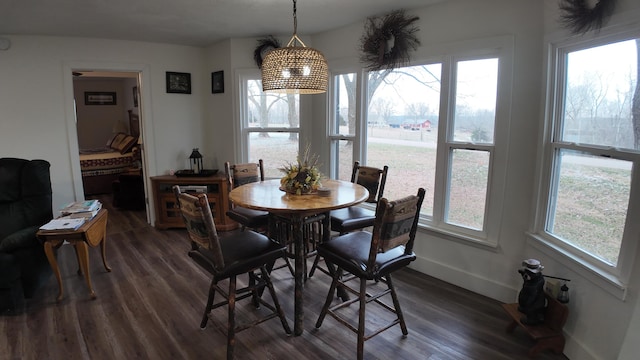 dining area featuring dark hardwood / wood-style floors and a healthy amount of sunlight