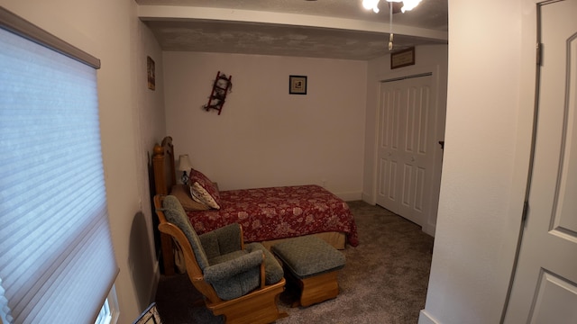 1247 State Hwy N, Clever, MO 65631 - view of carpeted bedroom