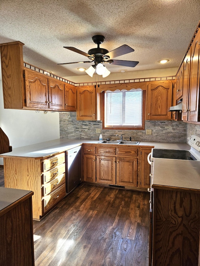 kitchen with decorative backsplash, dark hardwood / wood-style flooring, dishwashing machine, ceiling fan, and sink