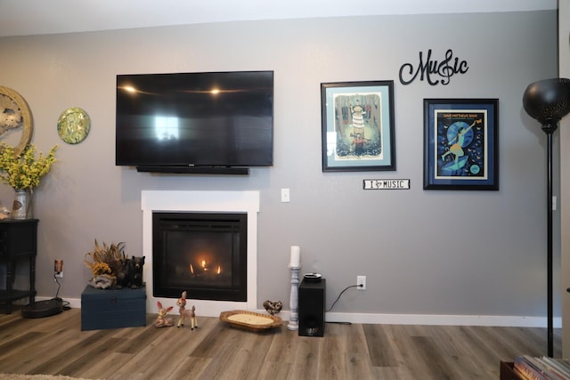 living room with wood-type flooring