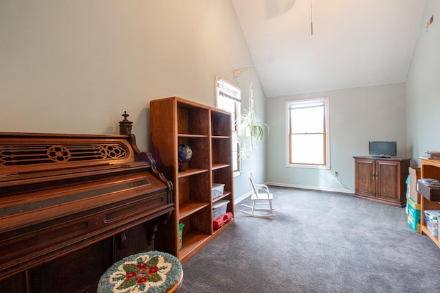 miscellaneous room featuring lofted ceiling and carpet