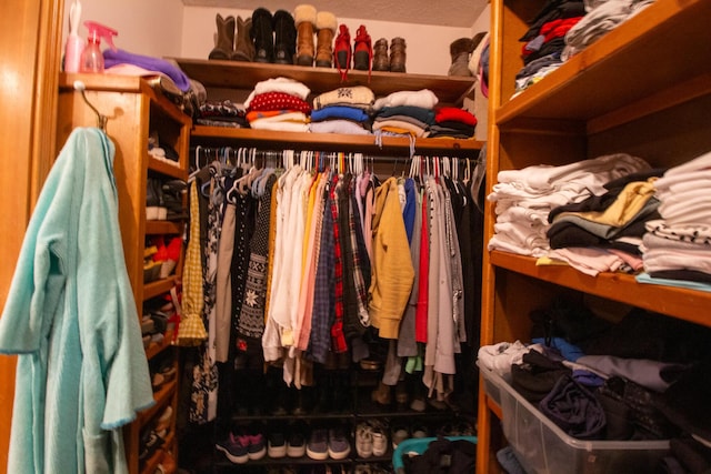 view of walk in closet