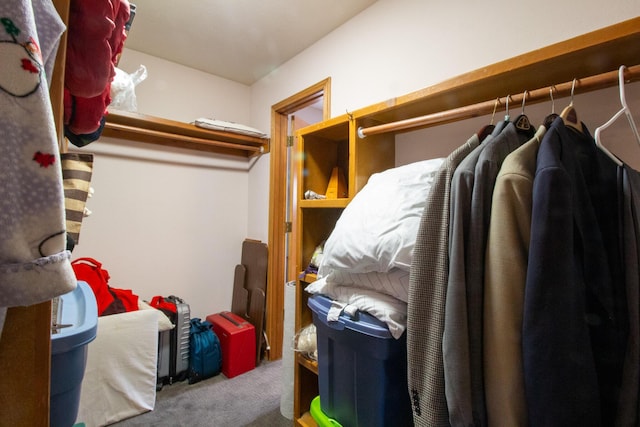 walk in closet featuring carpet