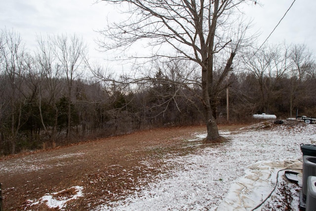 view of yard covered in snow