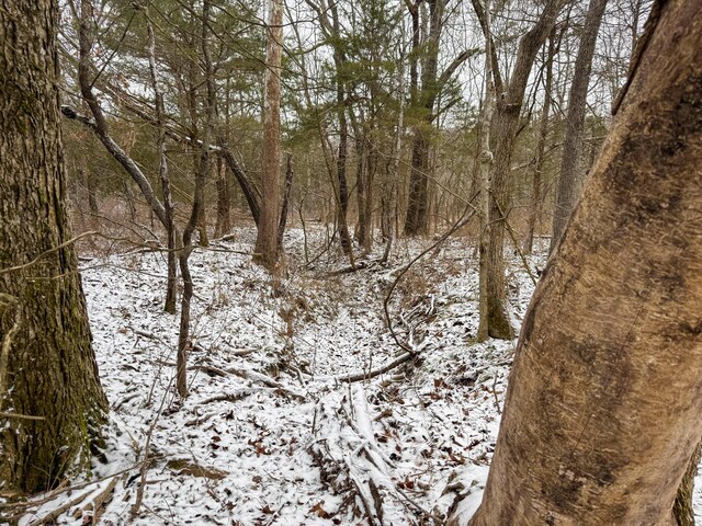 view of snowy landscape