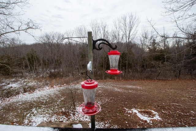 view of yard layered in snow