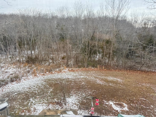 view of snowy landscape