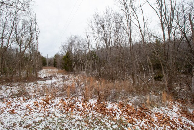 view of snowy landscape