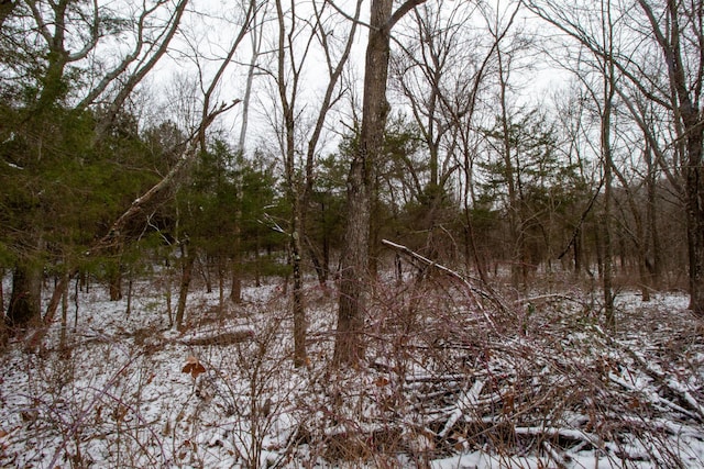 view of snowy landscape