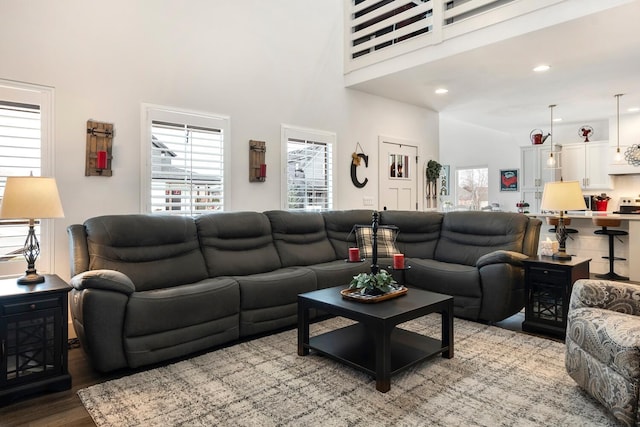 living room with hardwood / wood-style flooring and a high ceiling