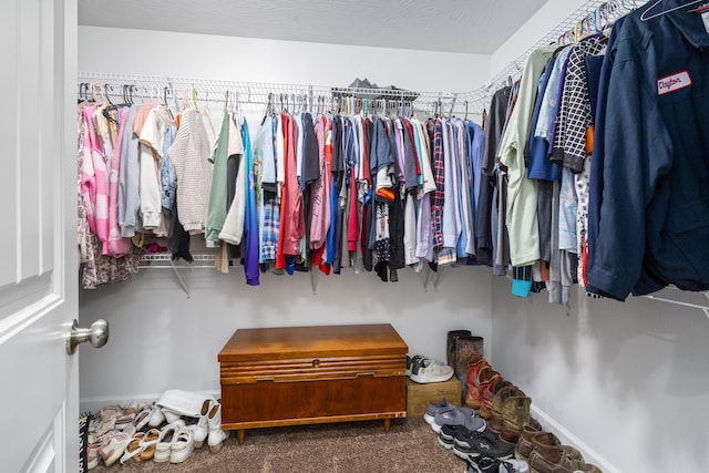 spacious closet featuring carpet