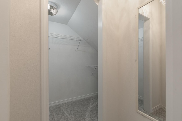 walk in closet featuring carpet flooring and lofted ceiling