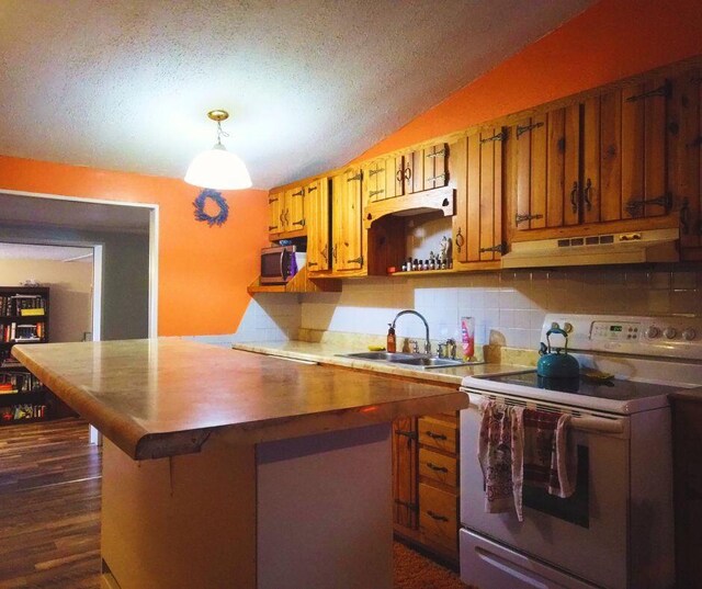 11302 County Road 456, Birch Tree, MO 65438 - kitchen featuring electric range, sink, hanging light fixtures, vaulted ceiling, and a kitchen bar