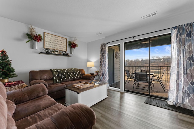 living room featuring dark hardwood / wood-style flooring and a textured ceiling