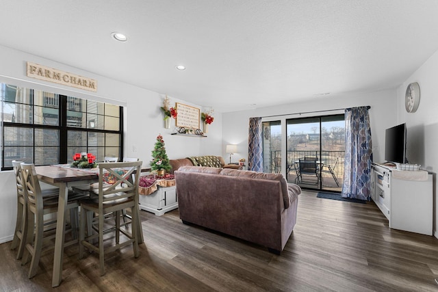 living room with dark hardwood / wood-style flooring