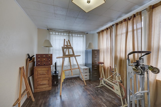 miscellaneous room with dark wood-type flooring