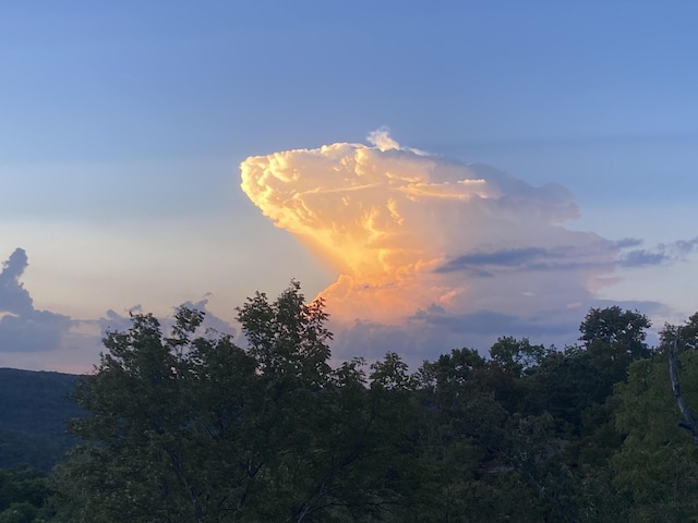 view of nature at dusk