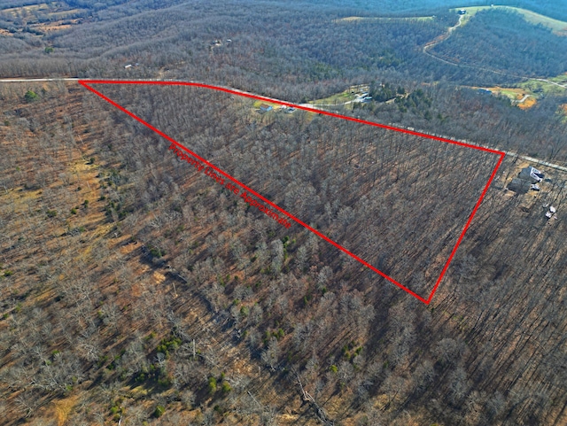 21525 State Highway P, Ava, MO 65608 - aerial view of property's location with property parcel outlined