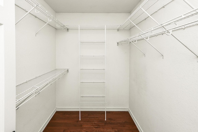 spacious closet with dark hardwood / wood-style flooring