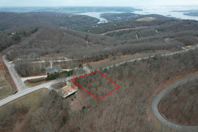 LOT9 Devils Pool Rd, Ridgedale, MO 65739