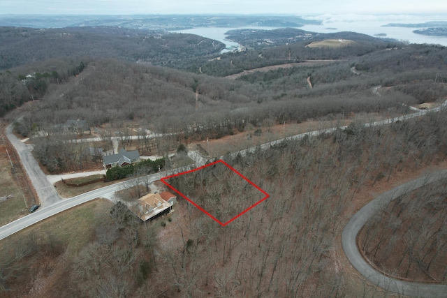 LOT9 Devils Pool Rd, Ridgedale MO, 65739 land for sale