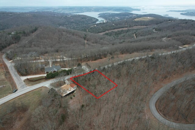 LOT9 Devils Pool Rd, Ridgedale, MO 65739 - photo 1