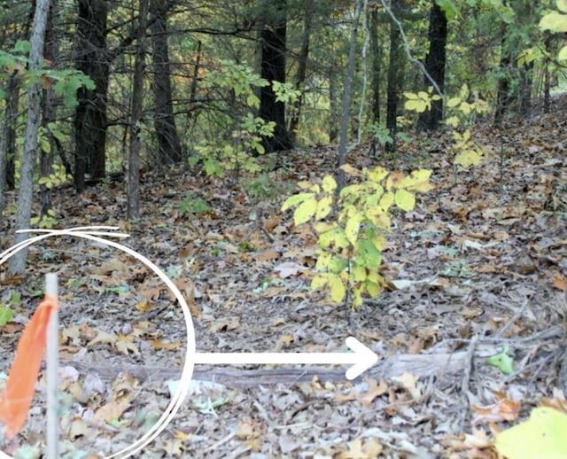 LOT9 Devils Pool Rd, Ridgedale, MO 65739 - photo 8
