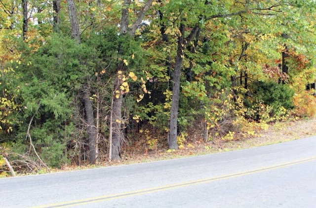LOT9 Devils Pool Rd, Ridgedale, MO 65739 - photo 6