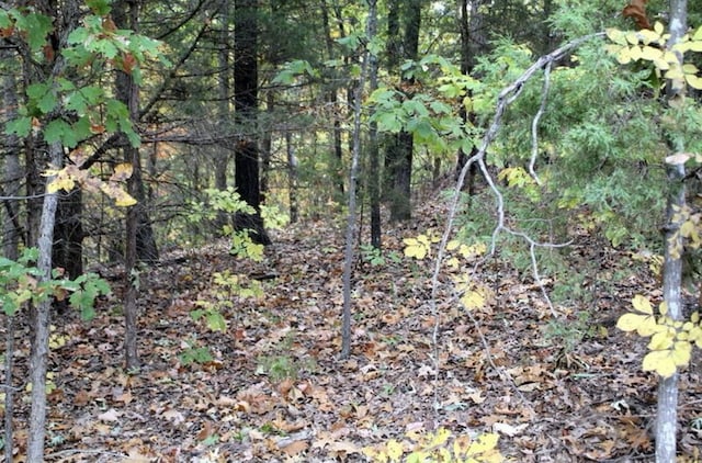 LOT9 Devils Pool Rd, Ridgedale, MO 65739 - photo 7