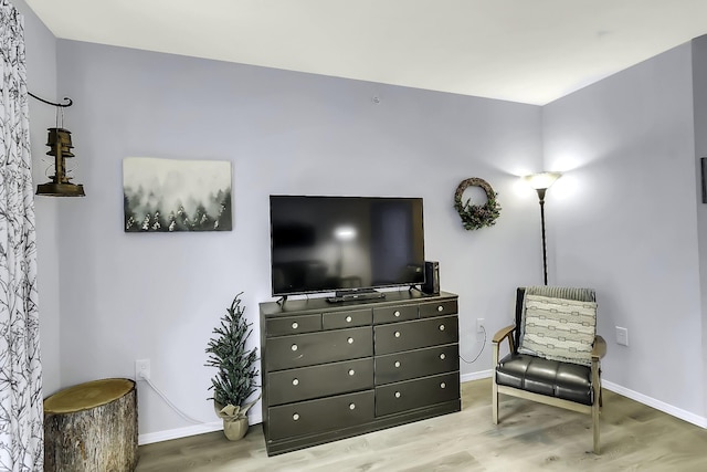 sitting room featuring hardwood / wood-style floors