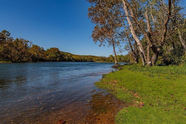 189 Avondale Dr Unit 91-6, Branson, MO 65616 - property view of water