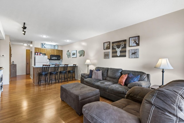 living room featuring light hardwood / wood-style floors