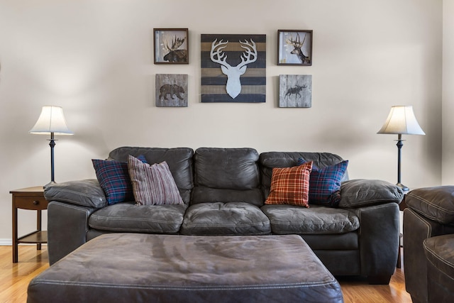 living room with light hardwood / wood-style flooring