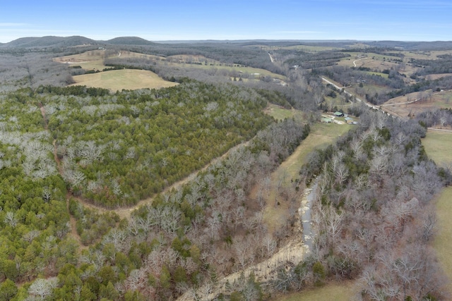 aerial view with a mountain view