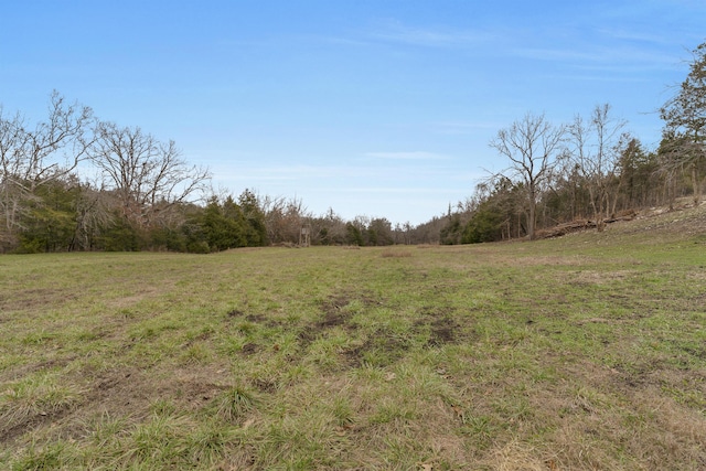 view of yard featuring a rural view