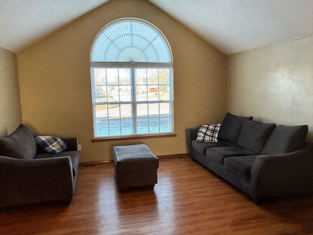 living room with dark hardwood / wood-style flooring and lofted ceiling