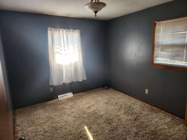 unfurnished room with carpet flooring and a textured ceiling